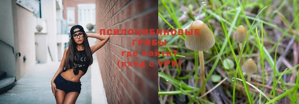 мет Алзамай