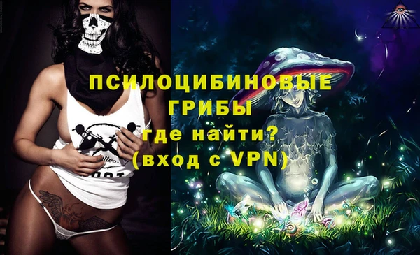 ешки Абинск
