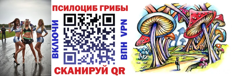 продажа наркотиков Устюжна Псилоцибиновые грибы Magic Shrooms
