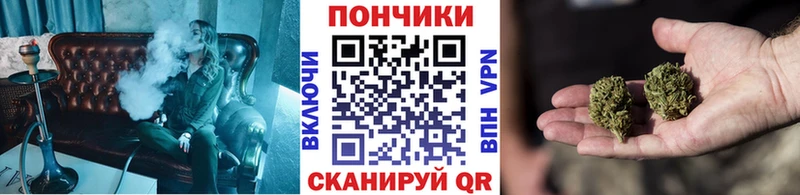 МАРИХУАНА OG Kush KRAKEN ссылка Устюжна